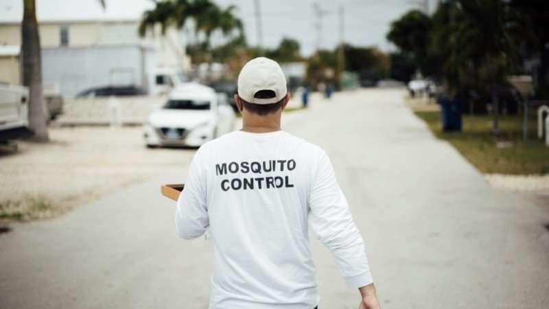 First Genetically Modified Mosquitoes Released in the United States | Nature 1 image 5