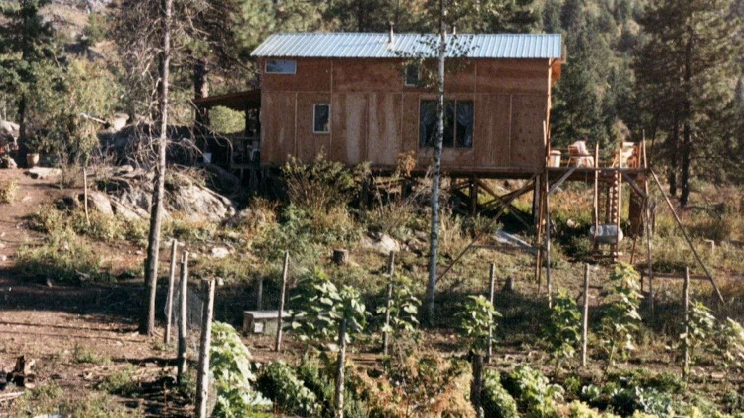 A Funny Thing Happened on The Road to Damascus 18 mefo 2076 rubyridge0