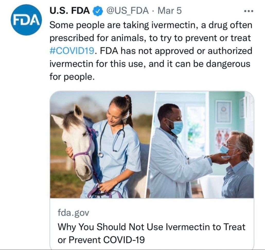 Bring Me The Head of Iver Mectin | Opinion 2 IMG 3045