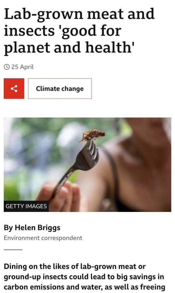 Eat Ze Bugs! | Essential Guide 5 Insects BBC