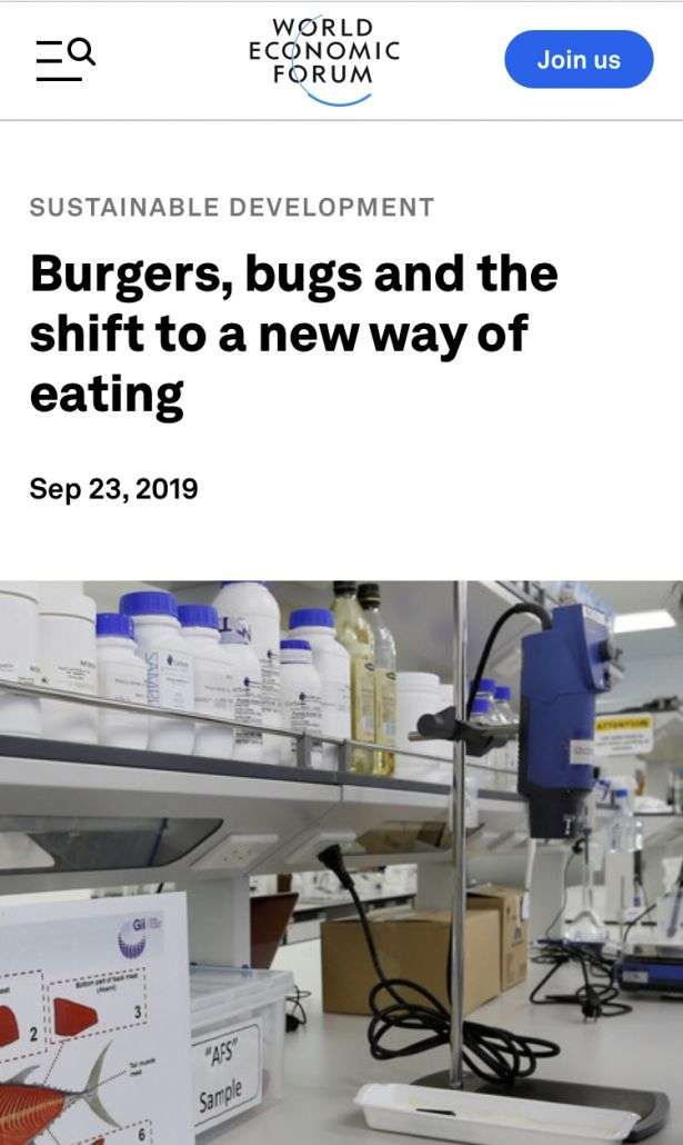 Eat Ze Bugs! | Essential Guide 6 Insects WEF 01