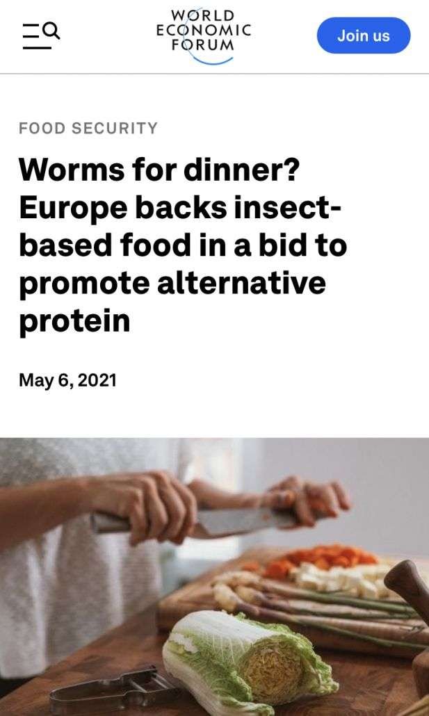 Eat Ze Bugs! | Essential Guide 8 Insects WEF 02