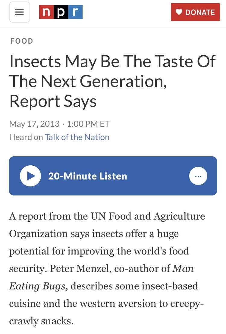 Eat Ze Bugs! | Essential Guide 13 IMG 8718