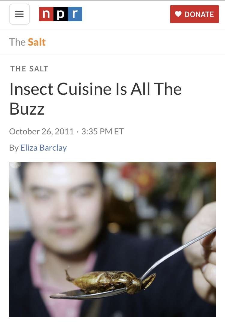Eat Ze Bugs! | Essential Guide 11 IMG 8719