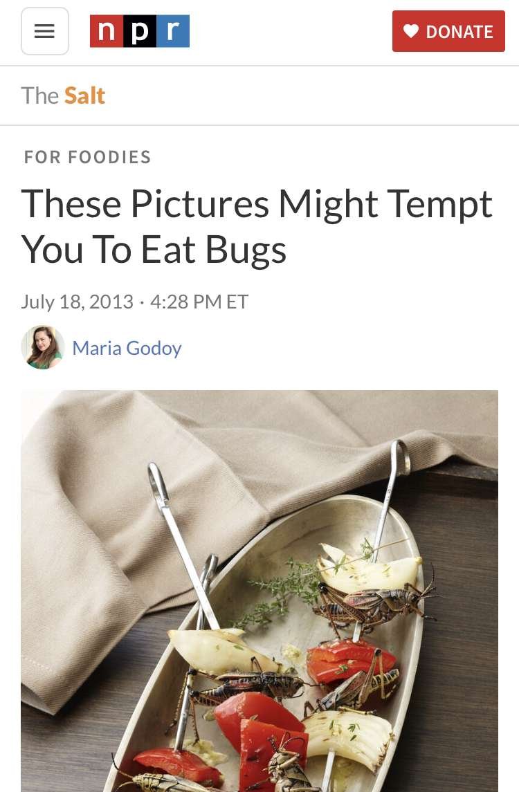 Eat Ze Bugs! | Essential Guide 12 IMG 8721
