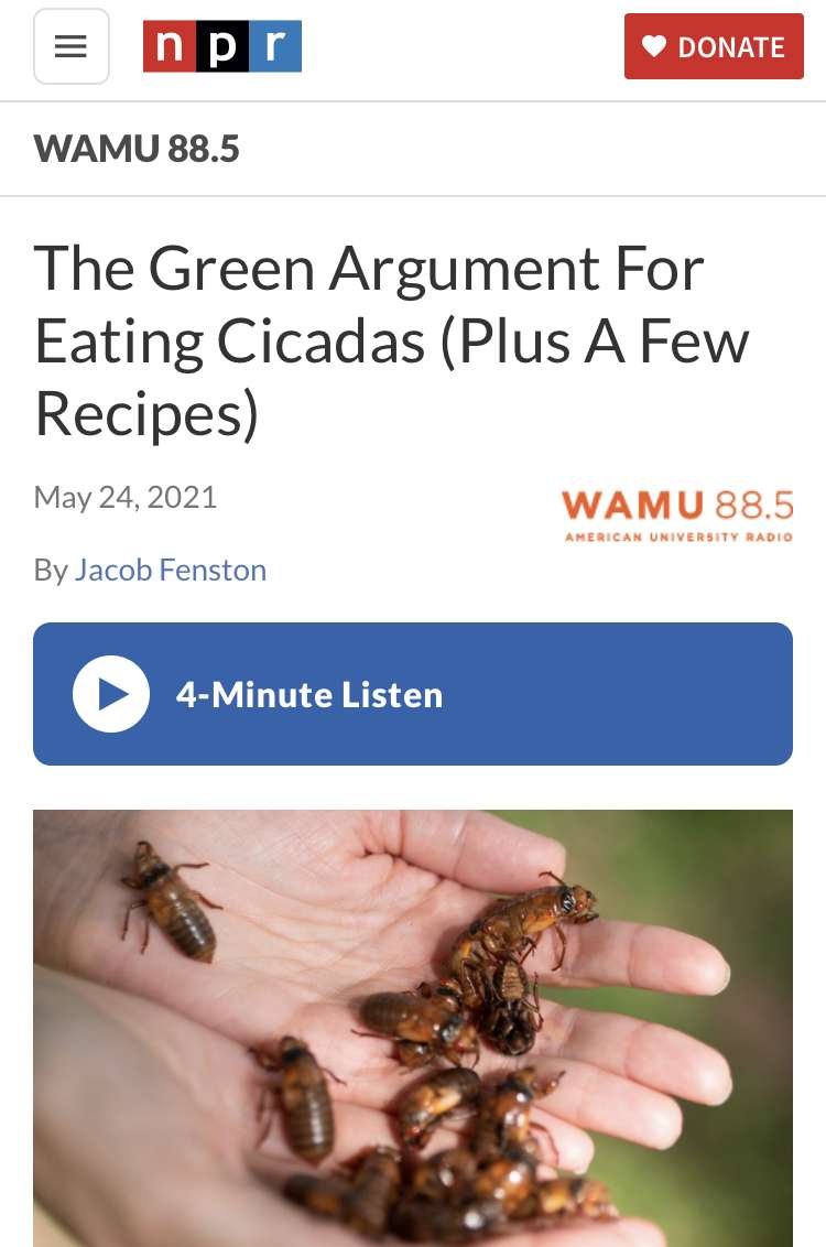 Eat Ze Bugs! | Essential Guide 21 IMG 8722