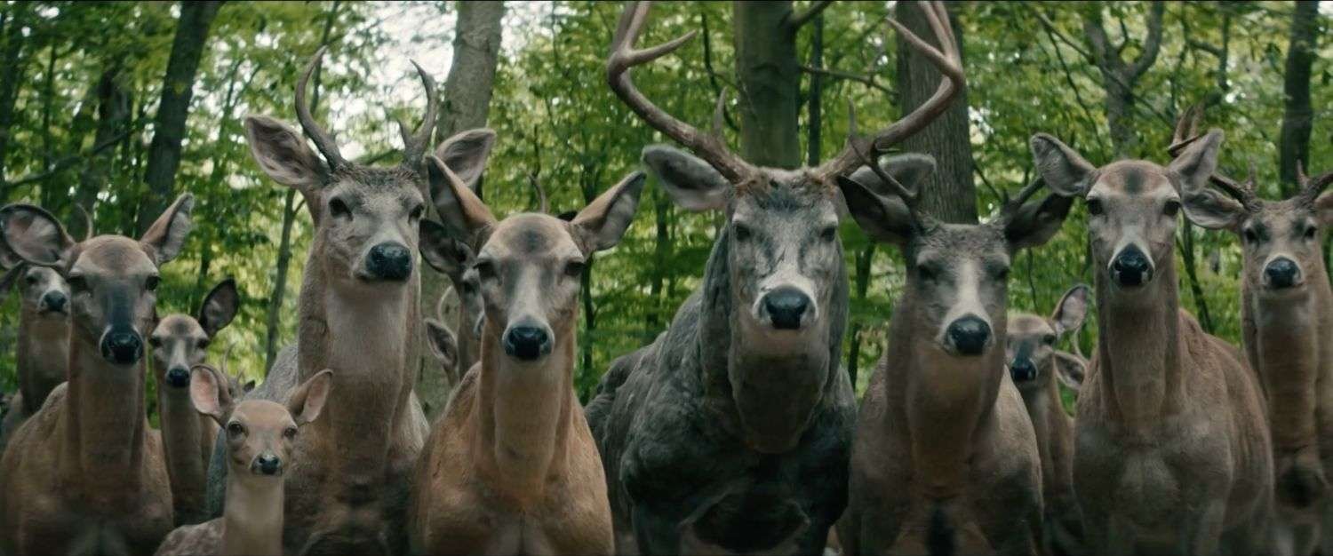 The Propaganda of Leave the World Behind | Quick Guide 15 Leave The World Behind Deer Oh Deer