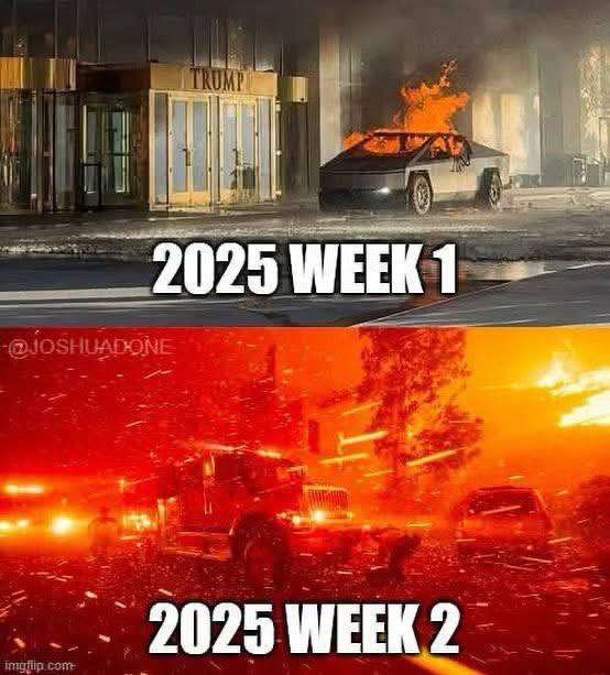 NEXT CRISIS: Surviving 2025 | Quick Guide 1 IMAGE 2025 01 14 035536